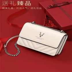 Light luxury brand women's bag 2024 new crossbody chain bag